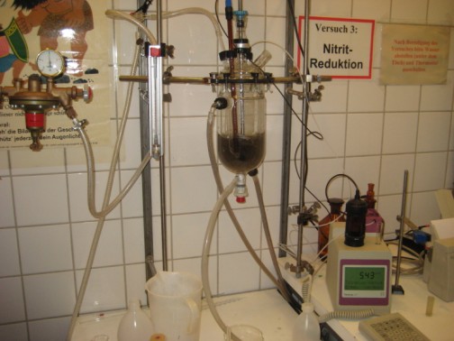 Reduction of nitrite using a catalyst