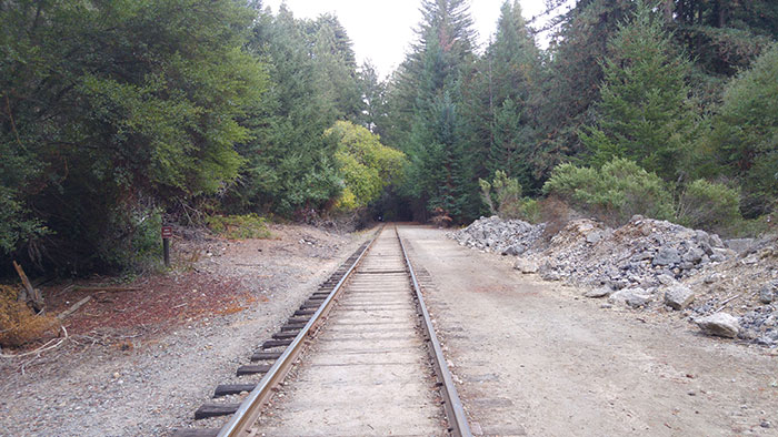 Train tracks close to Pogonip, Santa Cruz